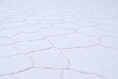DSCF1703