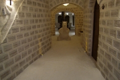 DSCF2010