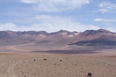 DSCF2235(1)