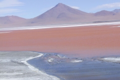 DSCF2245