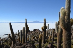 isla-incahuasi